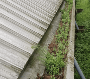 Happy customers in Bagshot who trust The Roof Moss Cleaners for gutter cleaning services